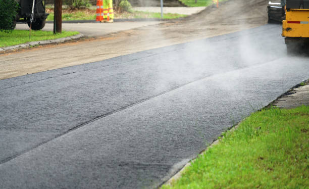 Best Residential Paver Driveway  in Fabens, TX